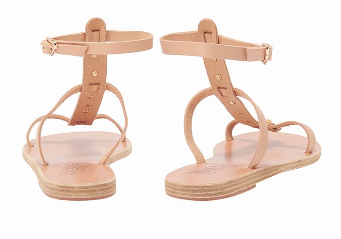 Sandales Bride Cheville Ancient Greek Sandals Meliti Bee   | KOJ-5989031